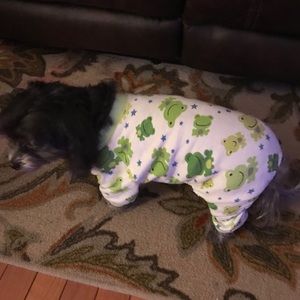 Meet your Posher, Tammy